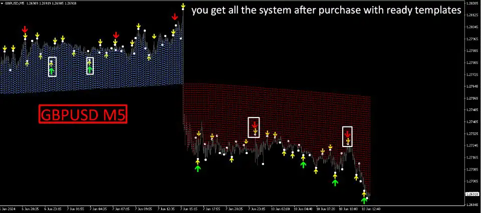 max-paynex-screen-6682-preview
