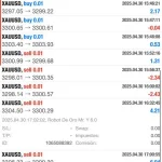 Robots De Oro MR.Y MT4-Preview-3