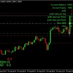The king Hedging Forex MT4-Preview-2