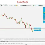 RiskGuard Management-MT5-Preview-6