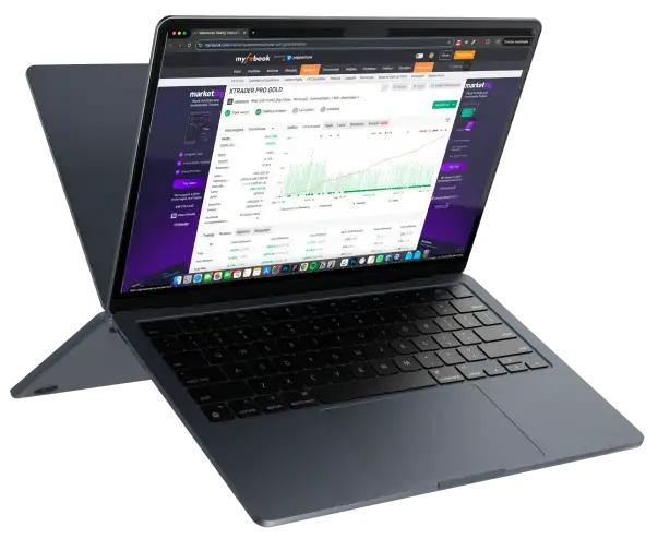 XTrader Pro Gold MT4-Preview-2