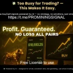 Promining Gold EA MT4-Preview-6