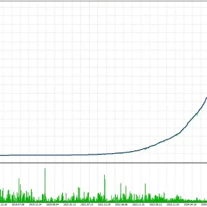 Nimora MT5-Preview-1
