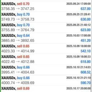 Scalping Chinese EA MT4-Preview-1