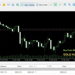 Gold Hunter EA MT5-Preview-2