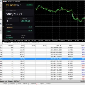 DowGold EA MT5-Preview-1