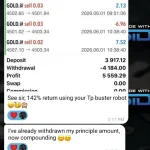 TP BUSTER GOLD EA MT5-Preview-2