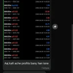 Dude Alpha Gold EA MT5-Preview-3