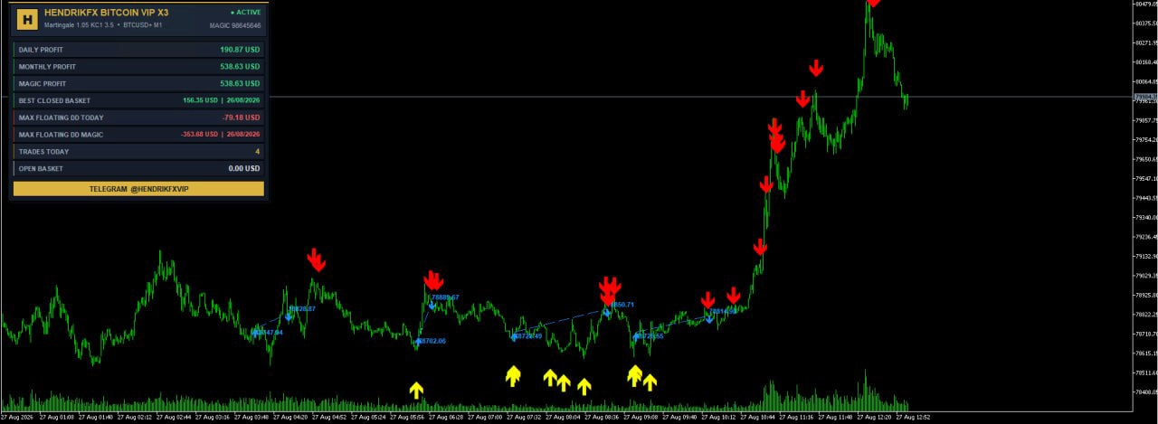 Hendrikfx Bitcoin VIP X3 MG EA MT5-Preview-1